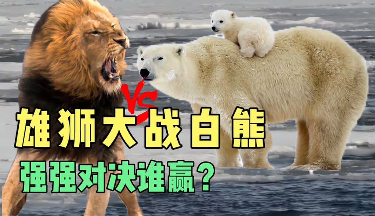包含强强对决，预测胜出者难度大！的词条
