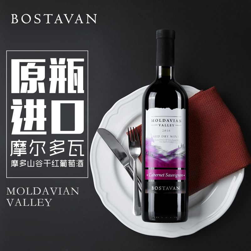 摩尔多瓦队在比赛中取得意外胜利，庆祝喜悦 
